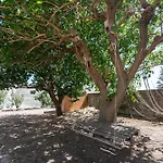 Eden فيلة ليباري