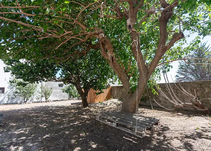 Eden فيلة ليباري