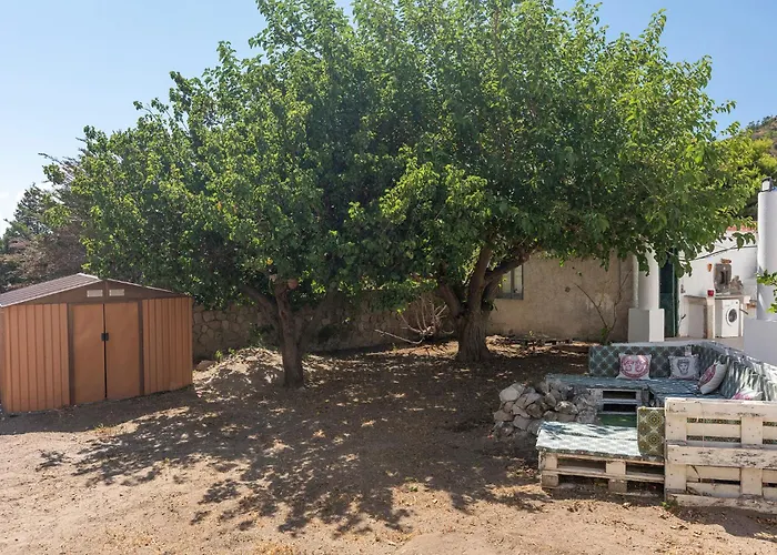 فيلة Eden ليباري